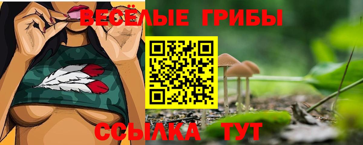 Псилоцибиновые грибы Cubensis  Вход с VPN  Муром 